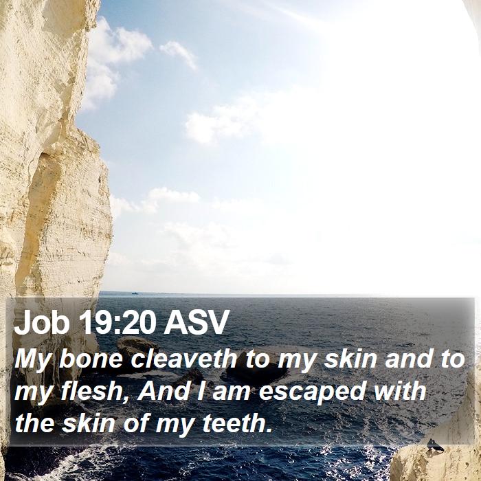 Job 19:20 ASV Bible Study