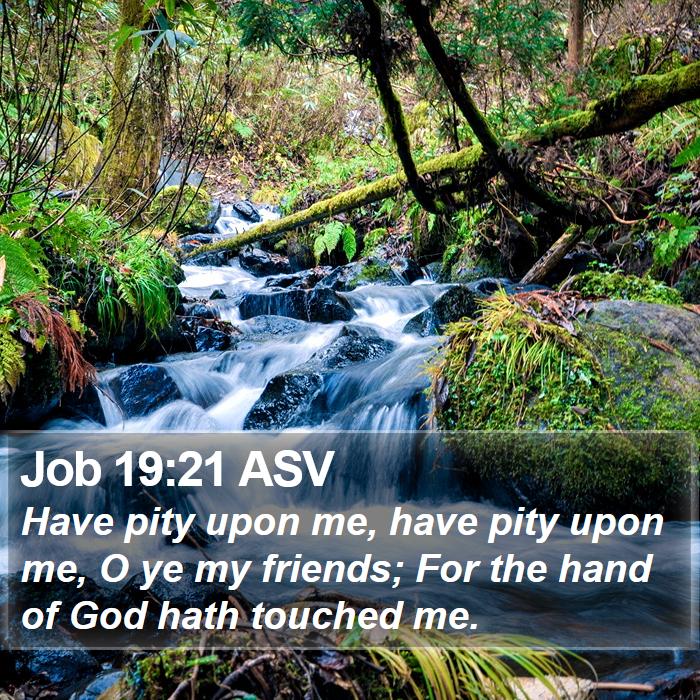 Job 19:21 ASV Bible Study