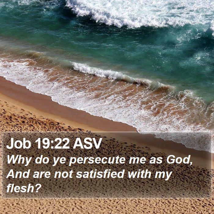 Job 19:22 ASV Bible Study