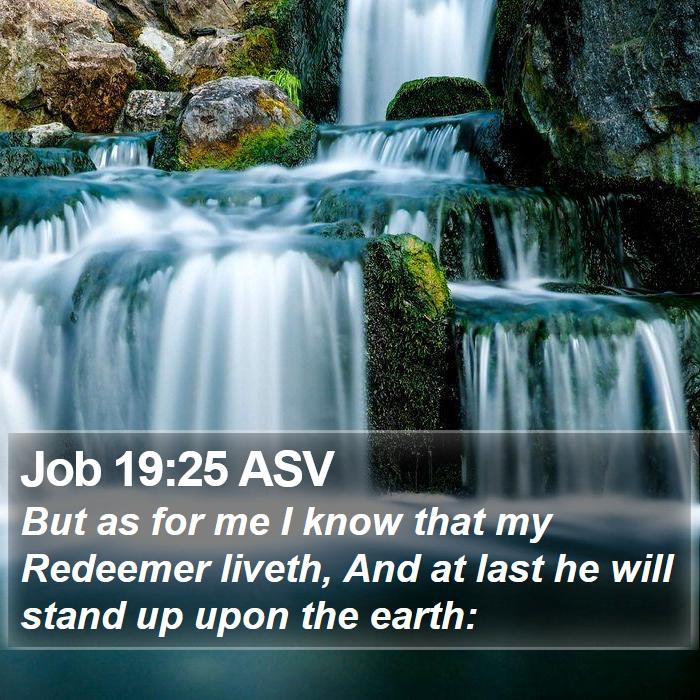 Job 19:25 ASV Bible Study