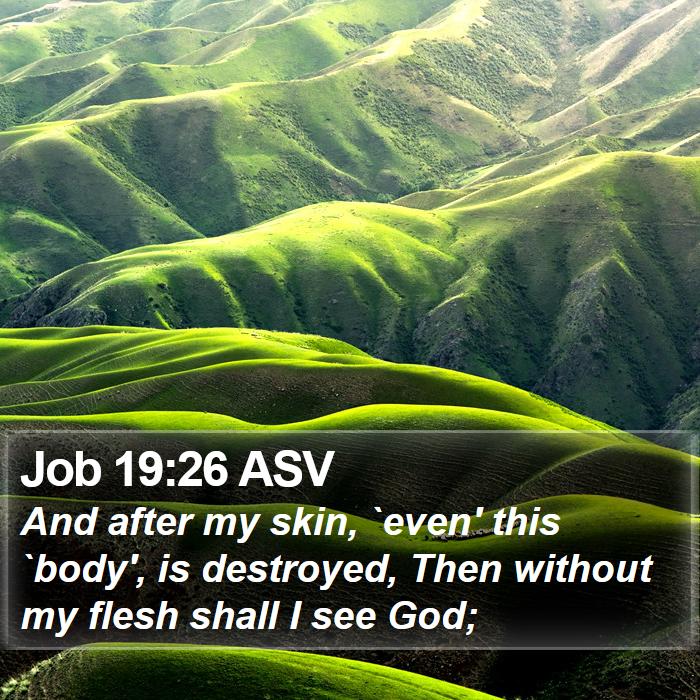 Job 19:26 ASV Bible Study