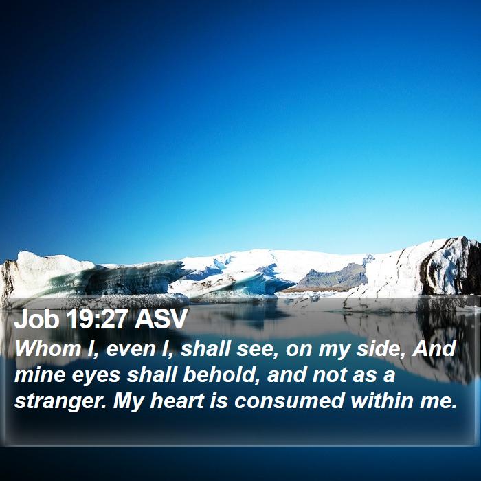 Job 19:27 ASV Bible Study