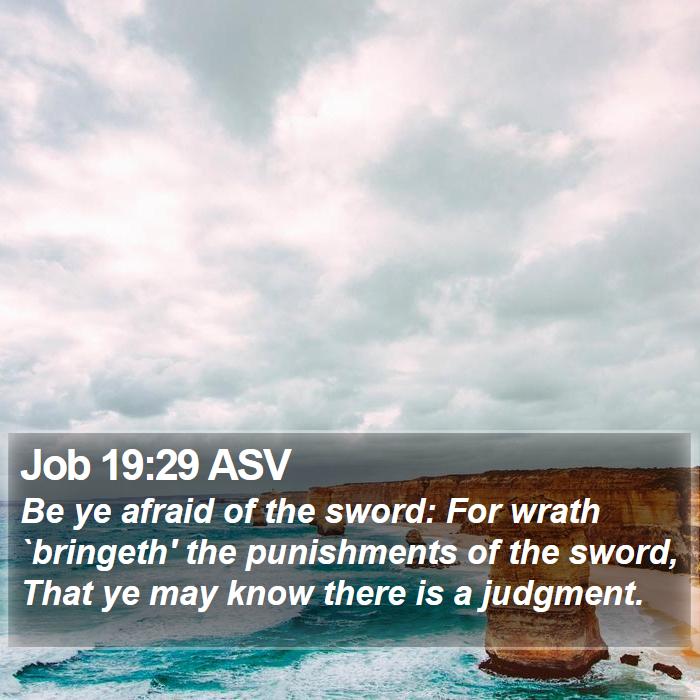 Job 19:29 ASV Bible Study