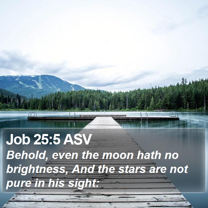 Job 25:5 ASV Bible Study