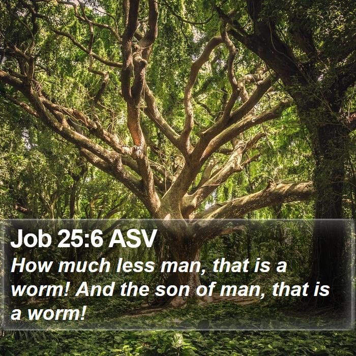 Job 25:6 ASV Bible Study