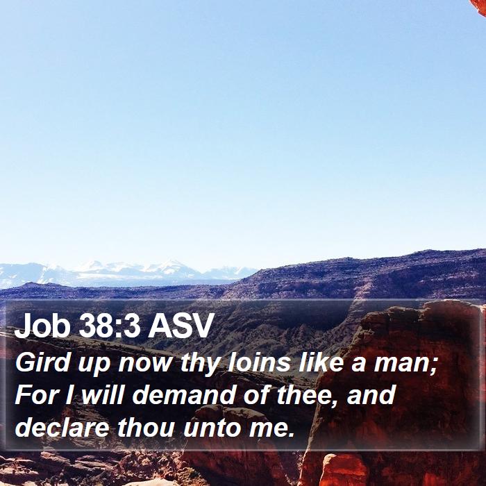 Job 38:3 ASV Bible Study