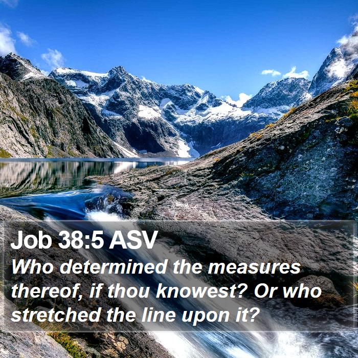 Job 38:5 ASV Bible Study