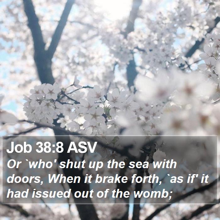 Job 38:8 ASV Bible Study