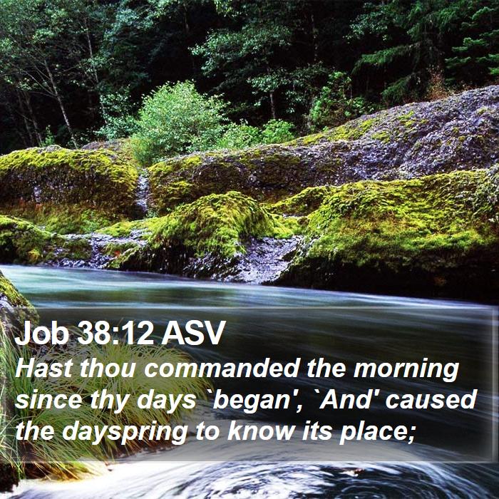 Job 38:12 ASV Bible Study