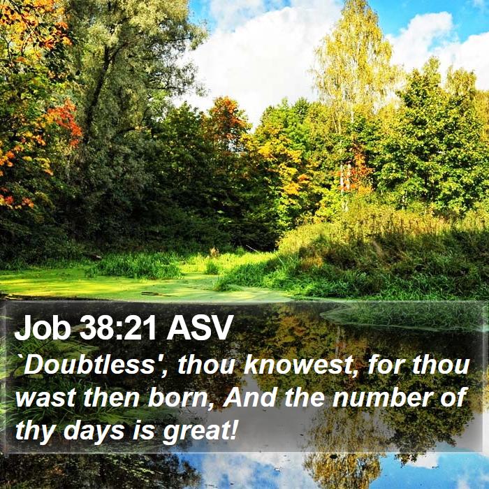 Job 38:21 ASV Bible Study