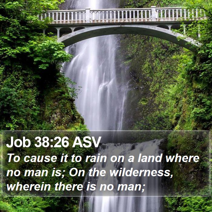 Job 38:26 ASV Bible Study