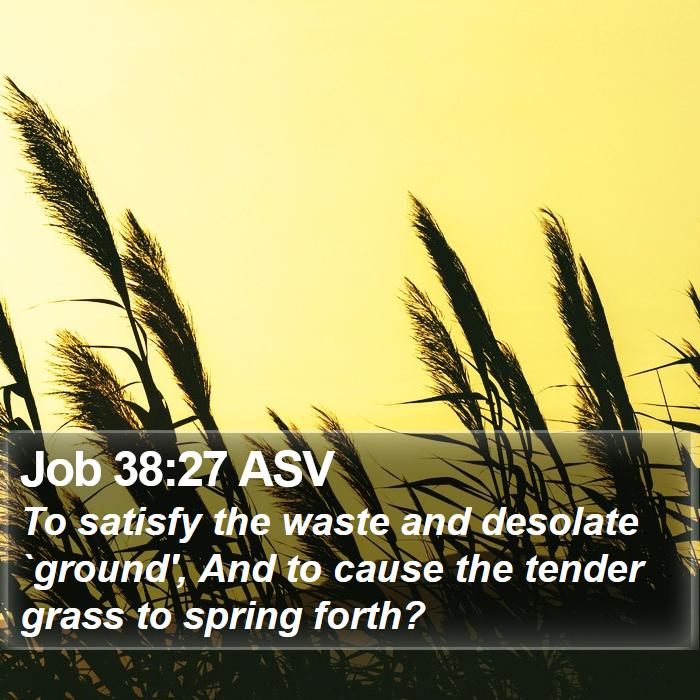 Job 38:27 ASV Bible Study