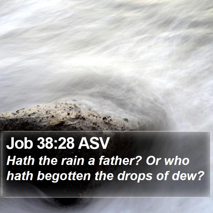 Job 38:28 ASV Bible Study