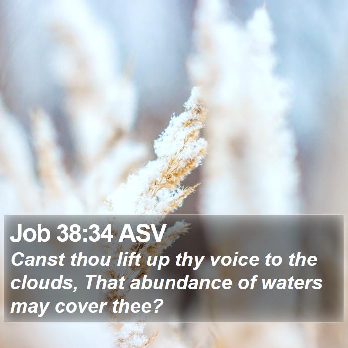 Job 38:34 ASV Bible Study