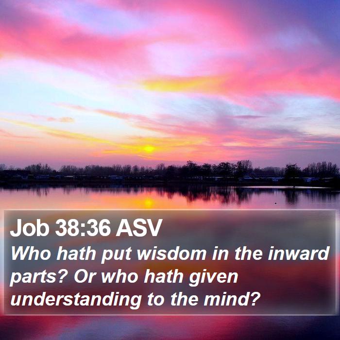 Job 38:36 ASV Bible Study