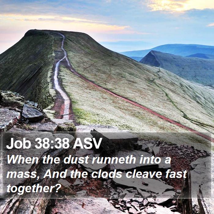 Job 38:38 ASV Bible Study