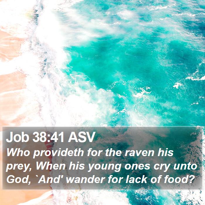 Job 38:41 ASV Bible Study