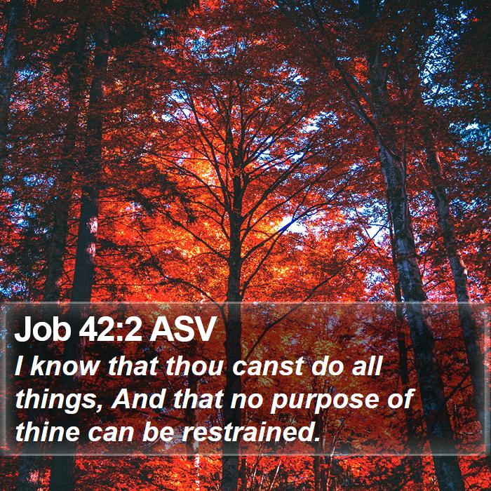 Job 42:2 ASV Bible Study