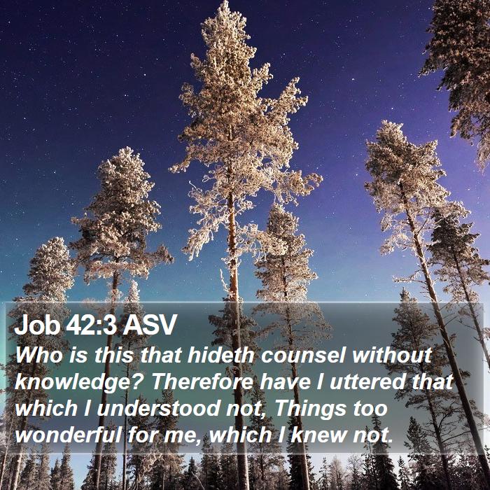 Job 42:3 ASV Bible Study