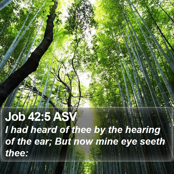 Job 42:5 ASV Bible Study