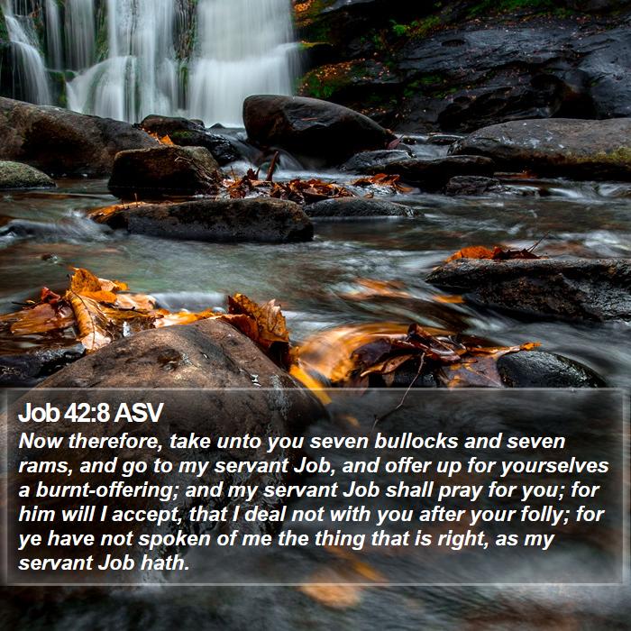 Job 42:8 ASV Bible Study