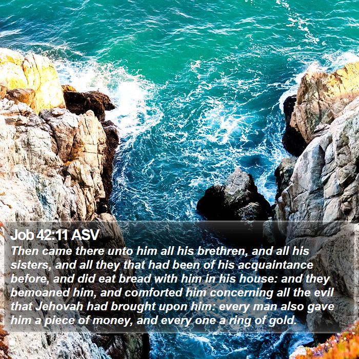 Job 42:11 ASV Bible Study