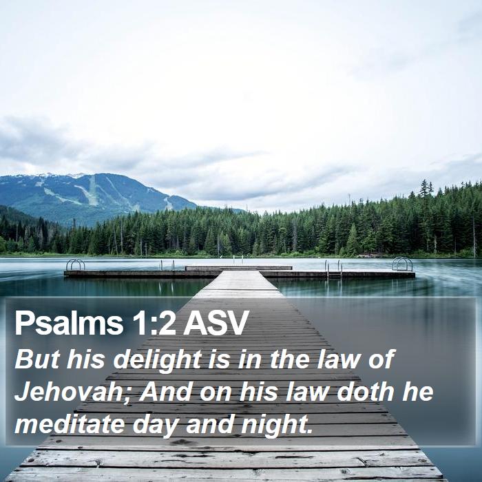 Psalms 1:2 ASV Bible Study