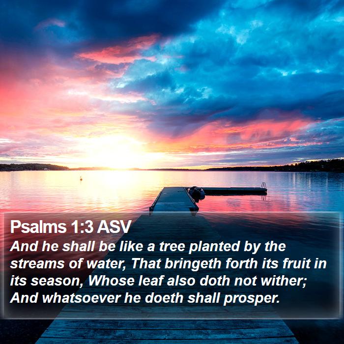 Psalms 1:3 ASV Bible Study