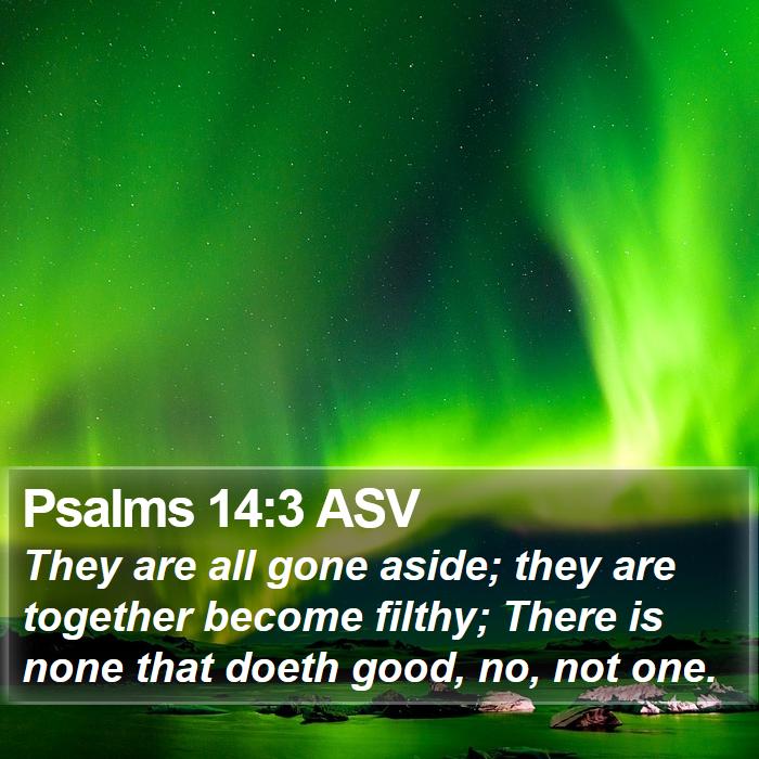 Psalms 14:3 ASV Bible Study