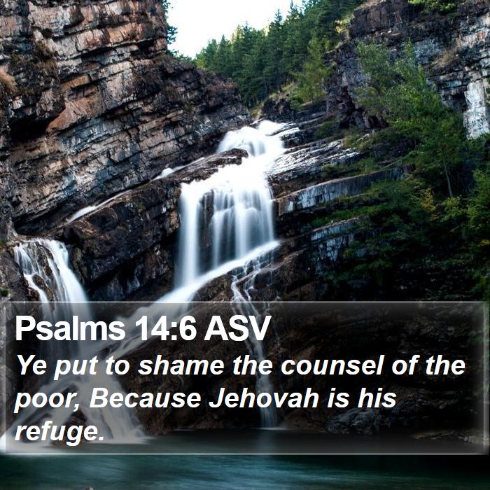 Psalms 14:6 ASV Bible Study