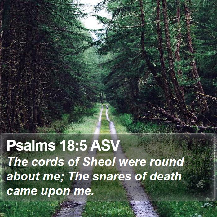 Psalms 18:5 ASV Bible Study