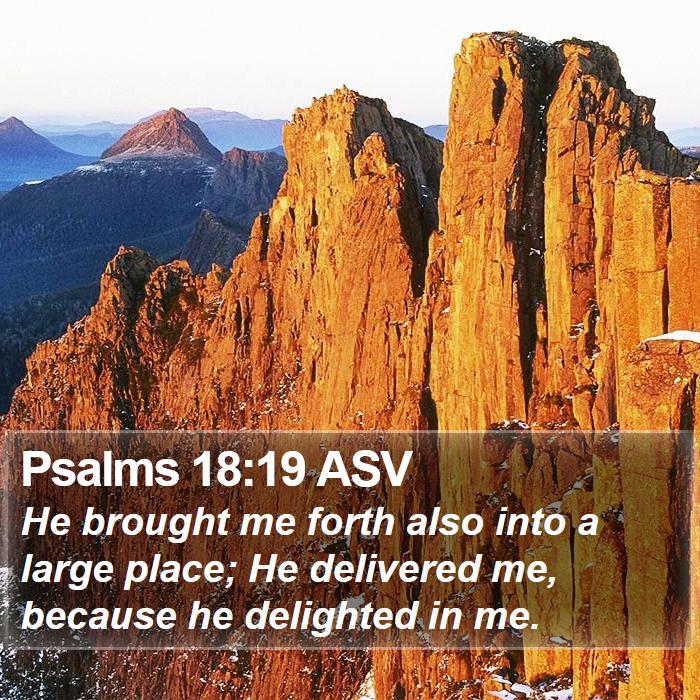 Psalms 18:19 ASV Bible Study