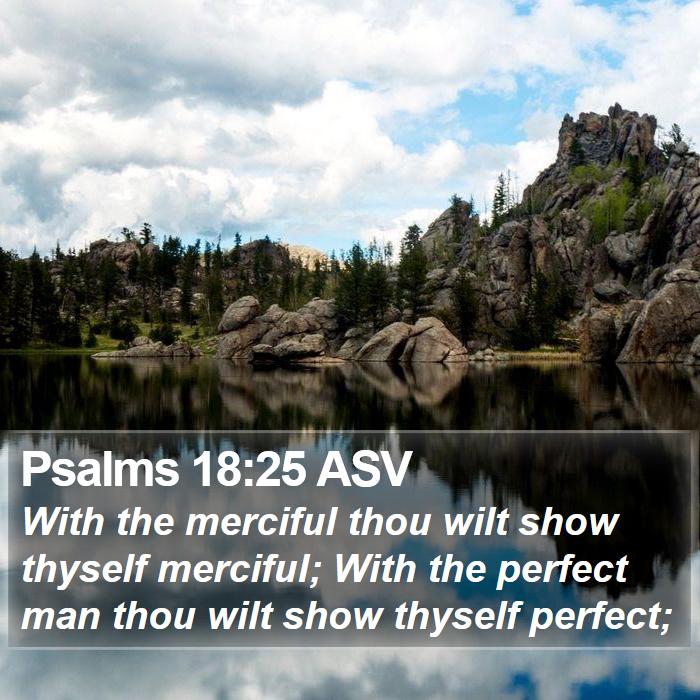 Psalms 18:25 ASV Bible Study