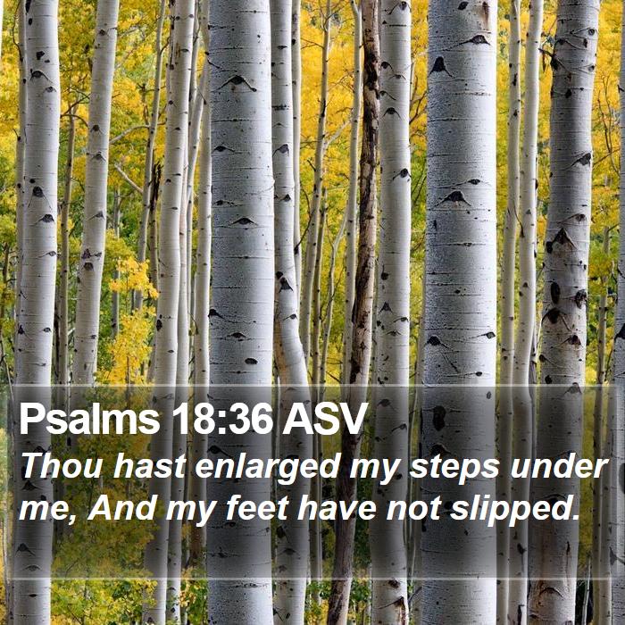 Psalms 18:36 ASV Bible Study