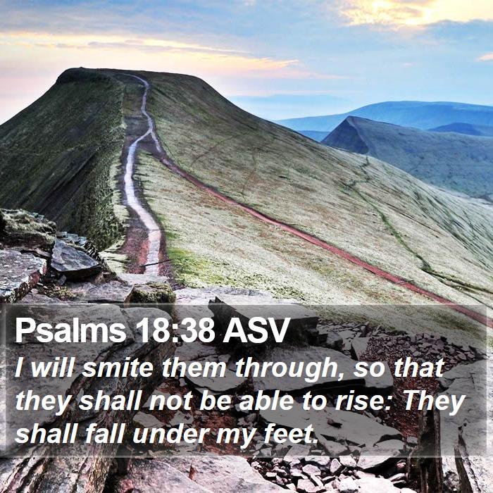 Psalms 18:38 ASV Bible Study