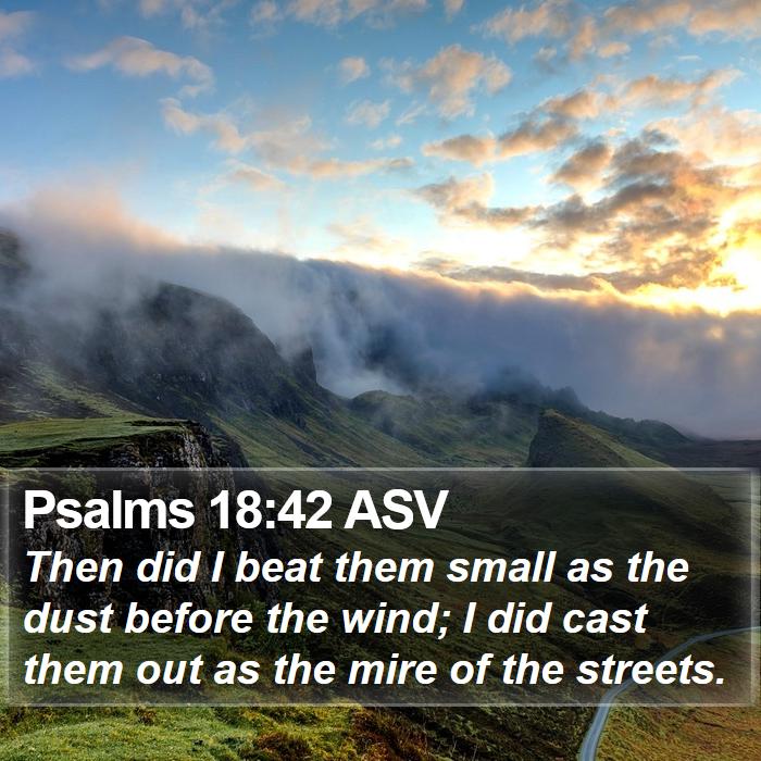 Psalms 18:42 ASV Bible Study