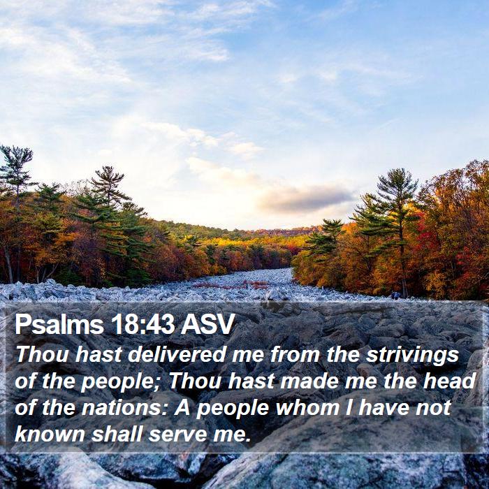 Psalms 18:43 ASV Bible Study