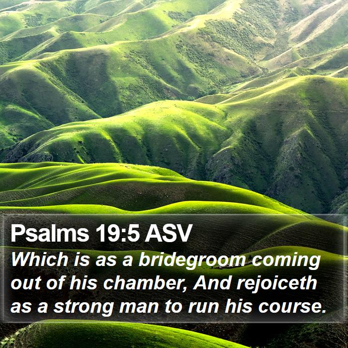 Psalms 19:5 ASV Bible Study