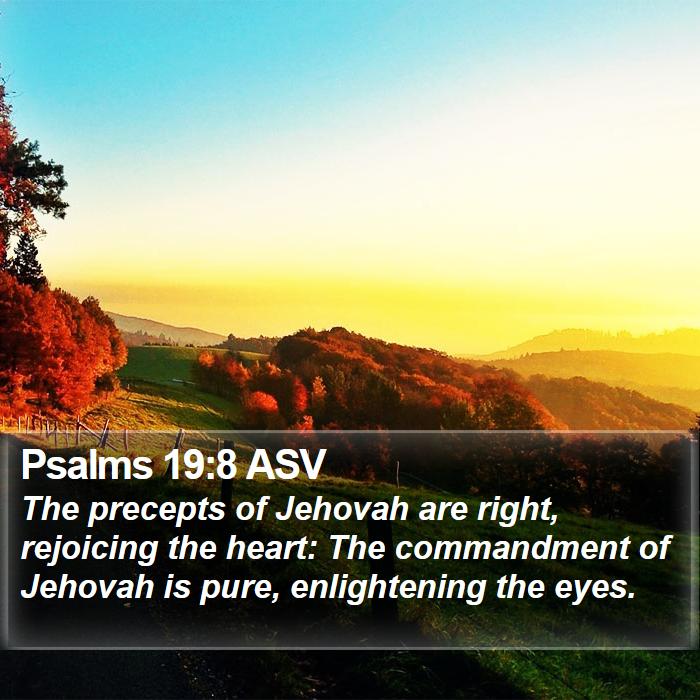 Psalms 19:8 ASV Bible Study