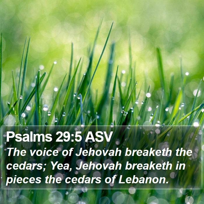 Psalms 29:5 ASV Bible Study