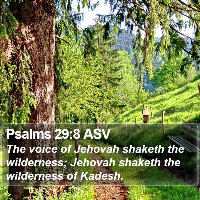 Psalms 29:8 ASV Bible Study