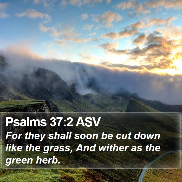 Psalms 37:2 ASV Bible Study