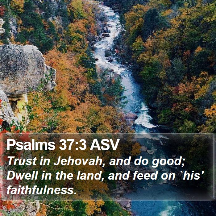 Psalms 37:3 ASV Bible Study