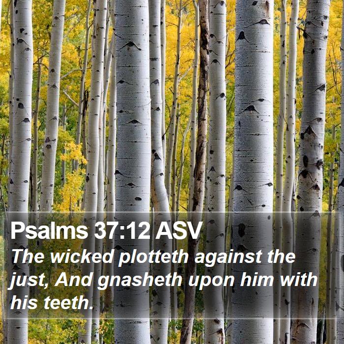 Psalms 37:12 ASV Bible Study