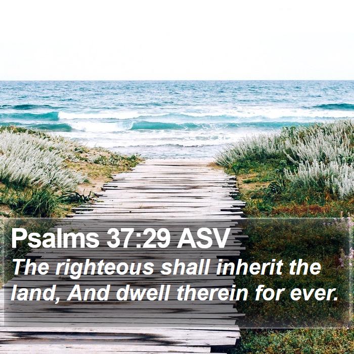 Psalms 37:29 ASV Bible Study