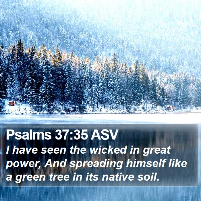 Psalms 37:35 ASV Bible Study