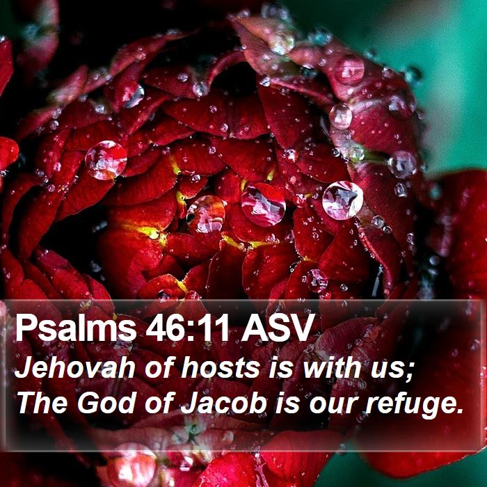 Psalms 46:11 ASV Bible Study