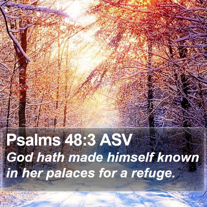 Psalms 48:3 ASV Bible Study