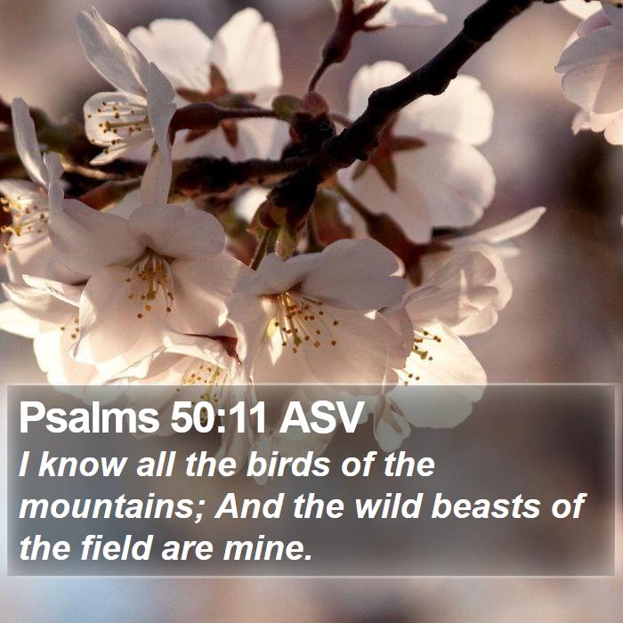 Psalms 50:11 ASV Bible Study