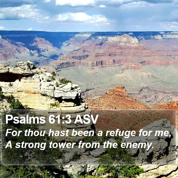 Psalms 61:3 ASV Bible Study